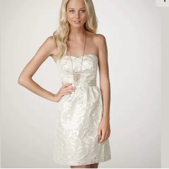 American Eagle Outfitters Dresses & Skirts - American Eagle Strapless Silver Shine Dress 8 NWT